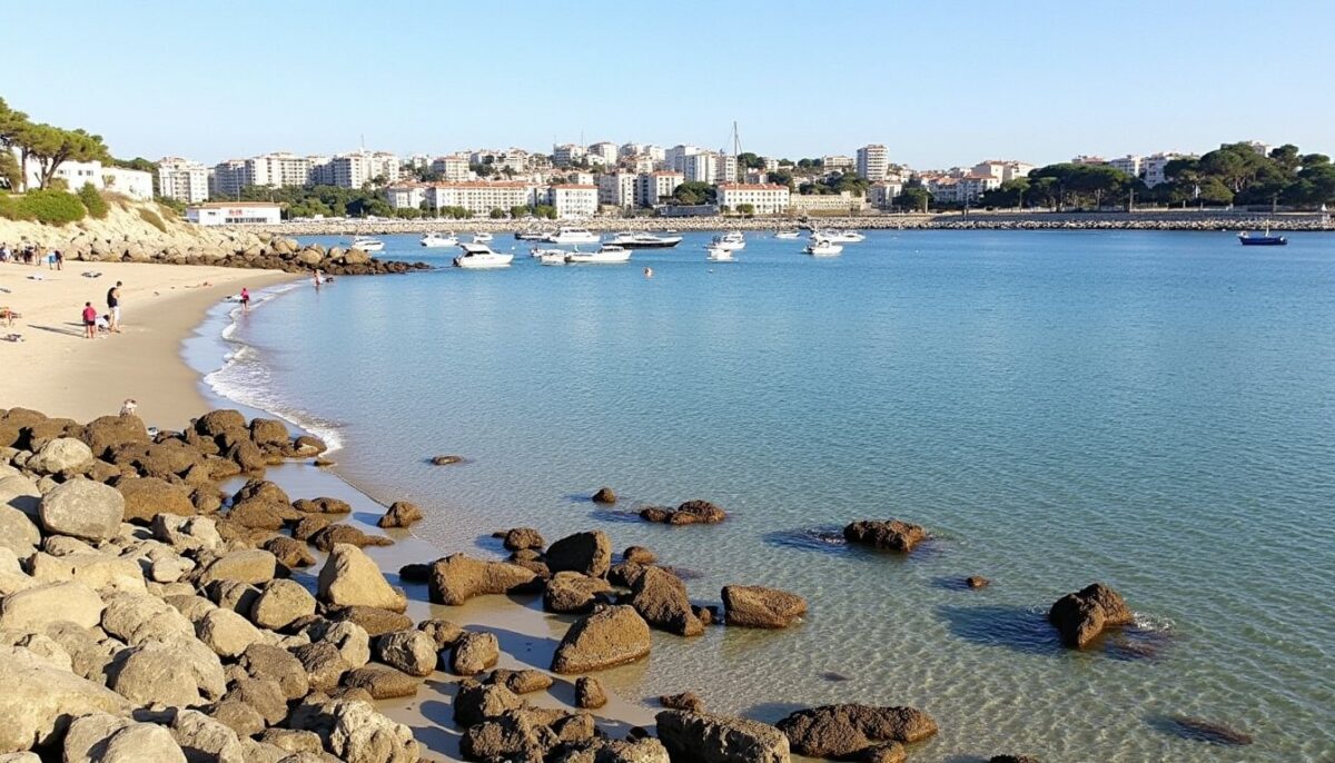 Découvrez les quartiers incontournables pour vivre à Toulon : du charmant Mourillon au pittoresque Cap Brun Découvrez les quartiers incontournables pour vivre à Toulon : du charmant Mourillon au pittoresque Cap Brun